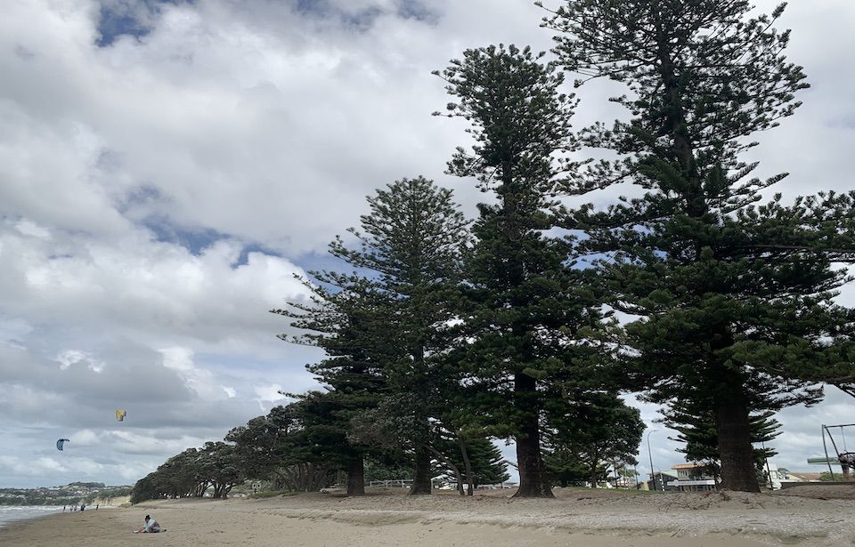 New Zealand’s best city beach continues to wash away
