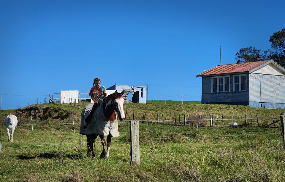 Māori horse experts not getting credit they deserve in equine industry 