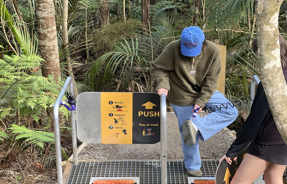 The reserve was improved to prevent the spread of Kauri dieback a disease that is both incurable and fatal in kauri trees. PHOTO: Madison Smith 