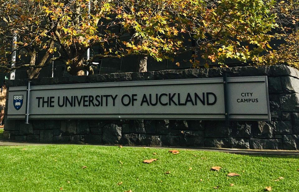 University of Auckland taking actions to address discrimination