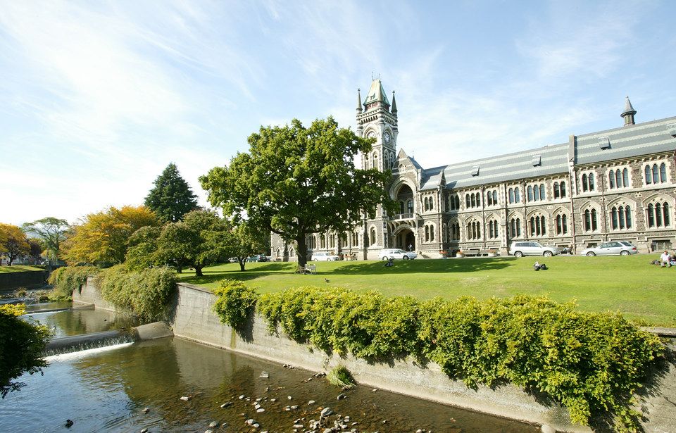 Students invest Covid-19 payment on the sharemarket
