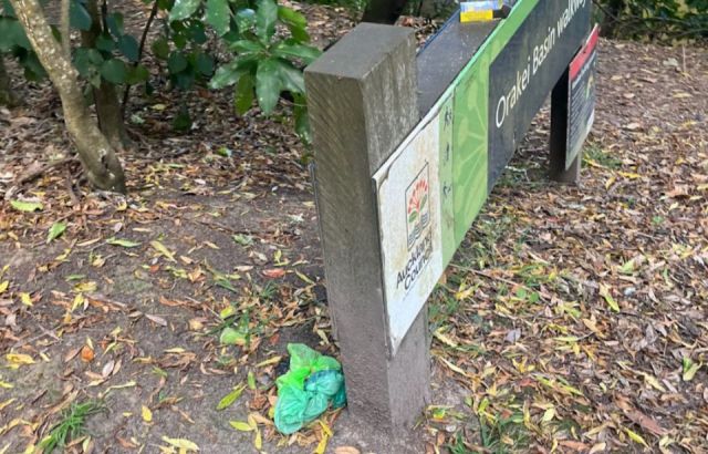 Ōrākei community fuming about dog waste
