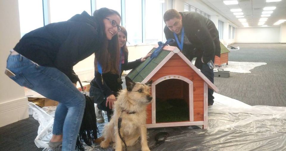 Workmate Dog Kennel