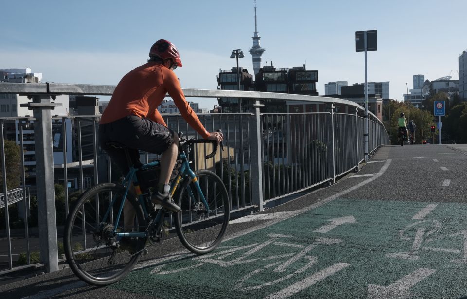  “Bikelash”: A political fault line across Auckland neighbourhoods