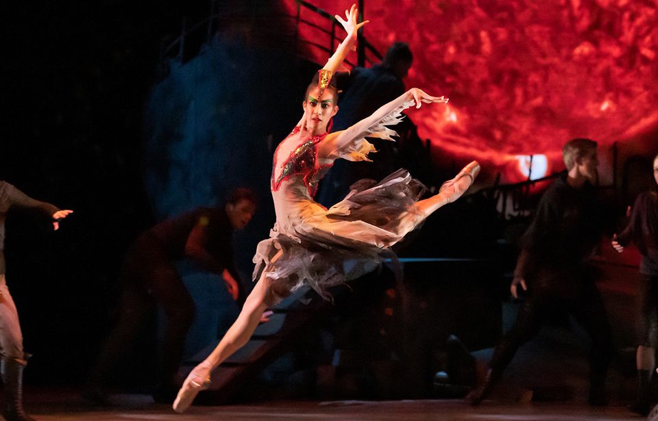 Royal New Zealand Ballet goes online as lockdown closes shows