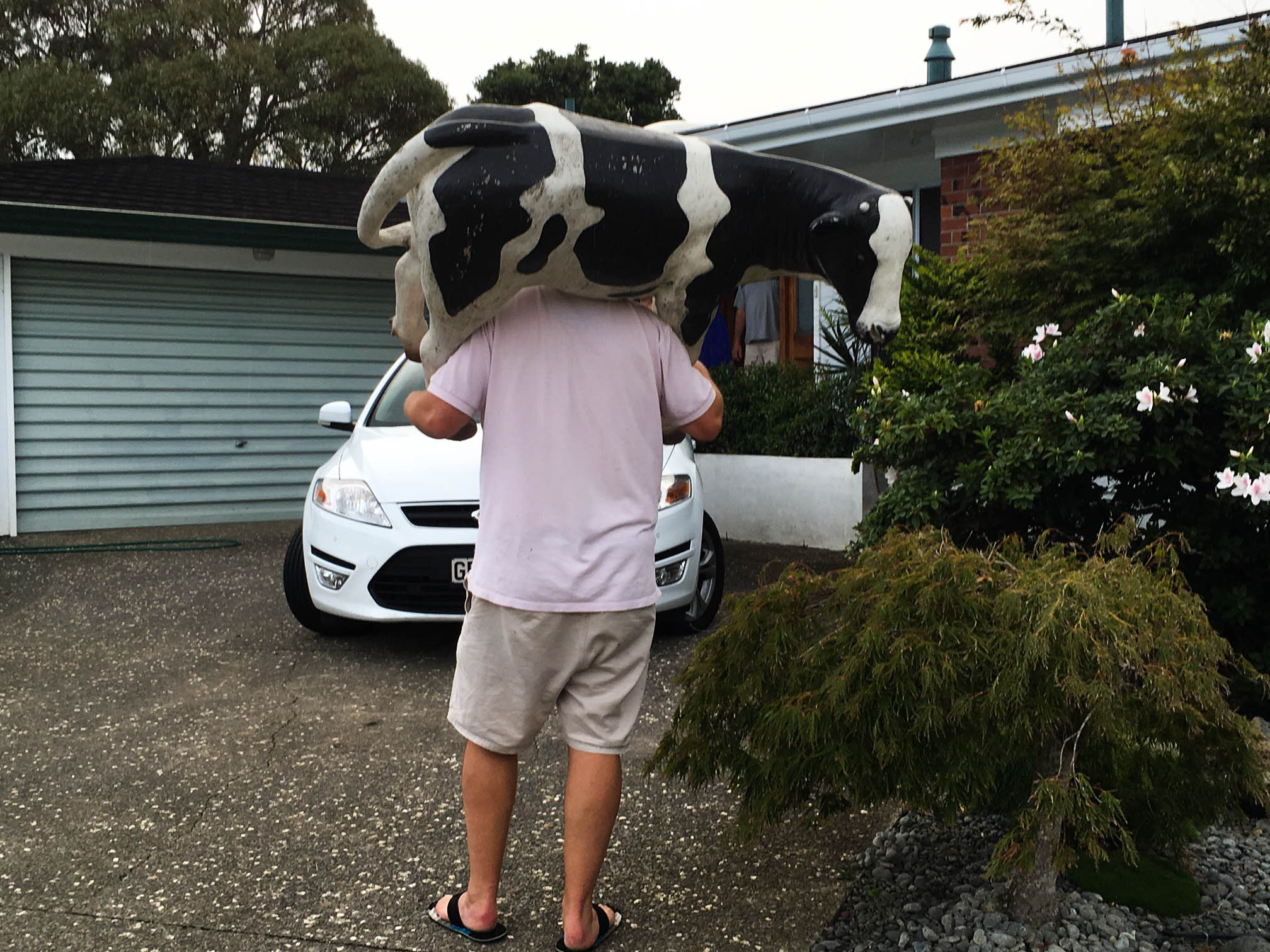 man carrying the cow statue